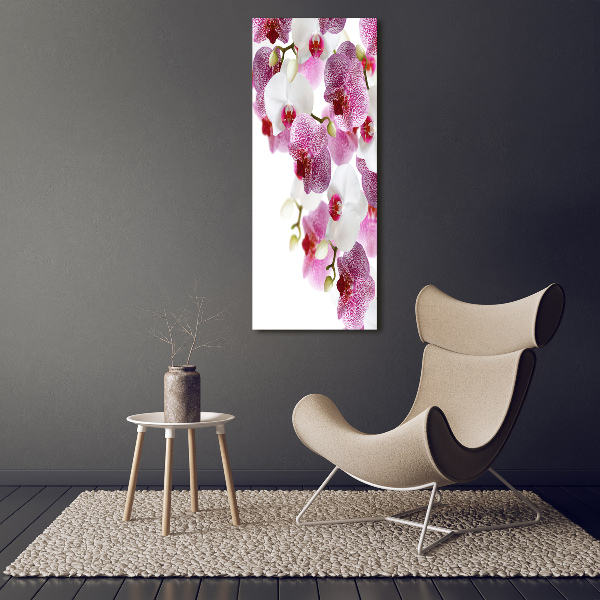 Glasbild vertikales Orchidee