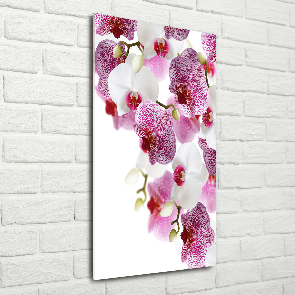 Glasbild vertikales Orchidee