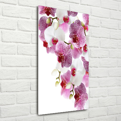Glasbild vertikales Orchidee