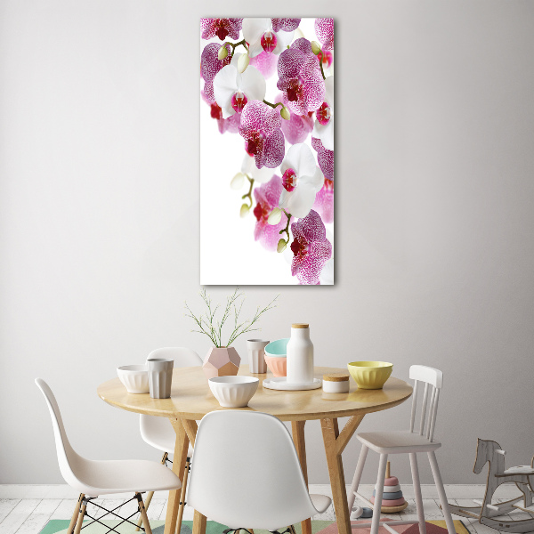 Glasbild vertikales Orchidee
