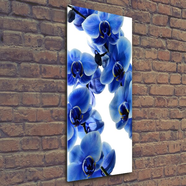 Glasbild vertikales Blaue Orchidee