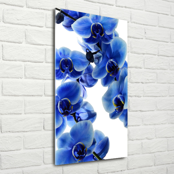 Glasbild vertikales Blaue Orchidee