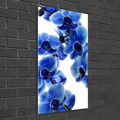 Glasbild vertikales Blaue Orchidee