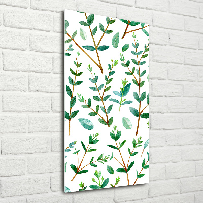 Bild aus glas vertikales Eukalyptuszweige