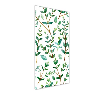 Bild aus glas vertikales Eukalyptuszweige