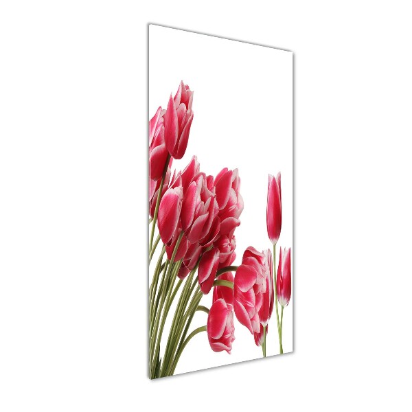 Bild aus glas vertikales Rote Tulpen