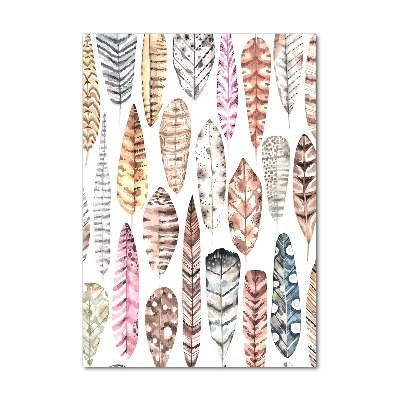 Foto auf glas vertikales Bunte Federn
