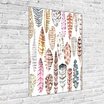 Foto auf glas vertikales Bunte Federn