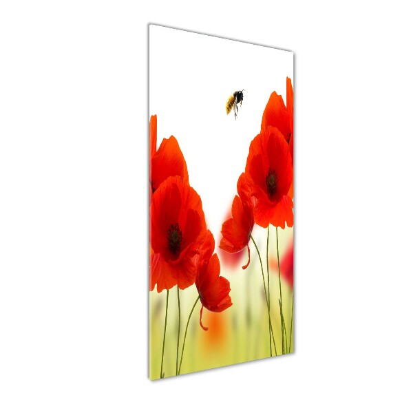 Foto auf glas vertikales Feldmohn