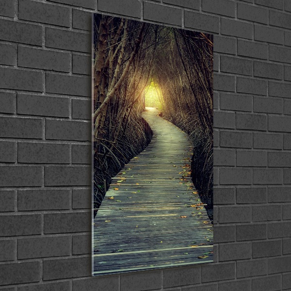 Foto auf glas vertikales Pfad im Wald