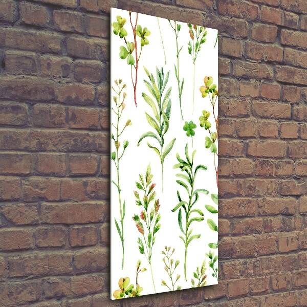 Bild aus glas vertikales Unkräuter und Kräuter