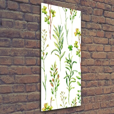 Bild aus glas vertikales Unkräuter und Kräuter