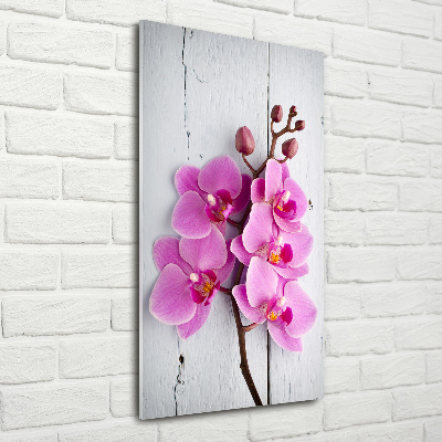Glasbild vertikales Rosa Orchidee