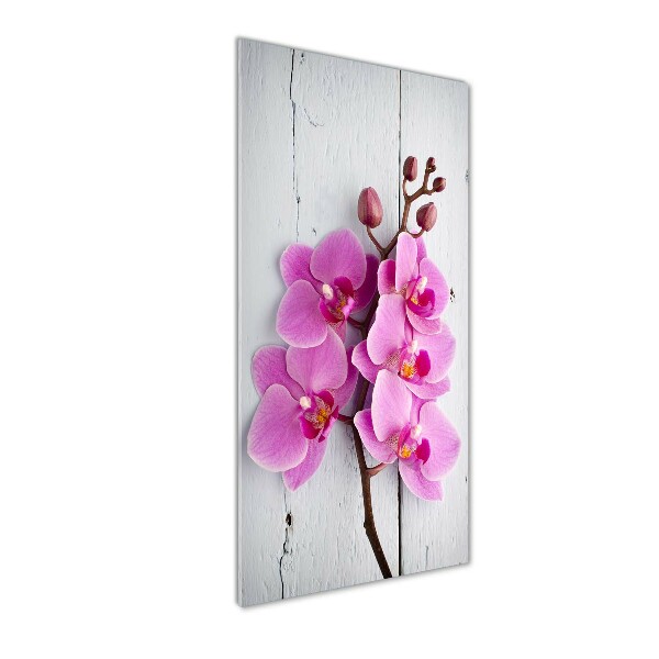 Glasbild vertikales Rosa Orchidee