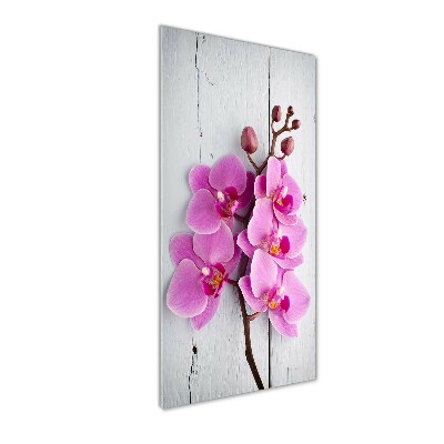 Glasbild vertikales Rosa Orchidee