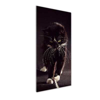 Foto auf glas vertikales Schwarze Katze
