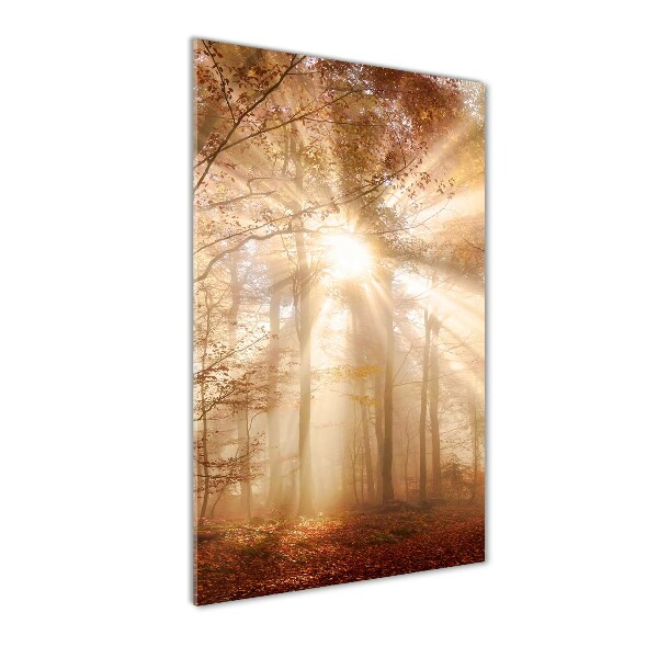 Foto auf glas vertikales Wald im Herbst