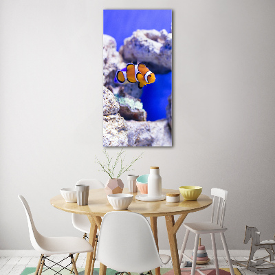 Glasbild vertikales Nemo der Fisch