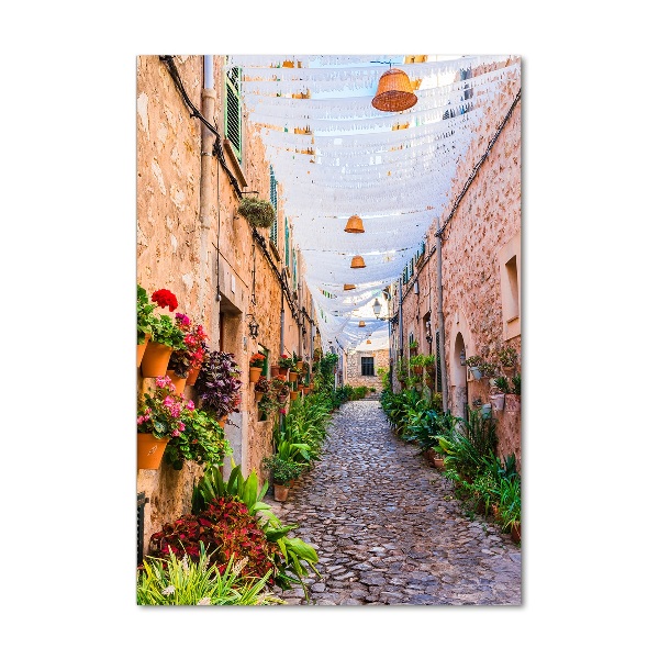 Bild aus glas vertikales Mallorca, Spanien