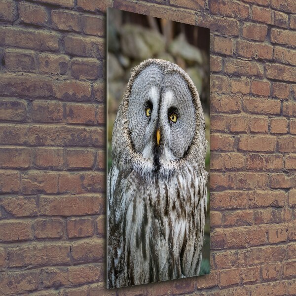 Bild aus glas vertikales Eule
