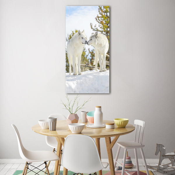 Glasbild vertikales Zwei weiße Wölfe