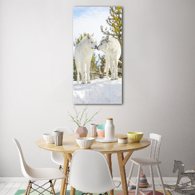 Glasbild vertikales Zwei weiße Wölfe