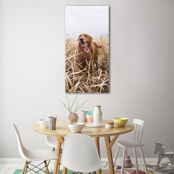 Foto auf glas vertikales Golden Retriever