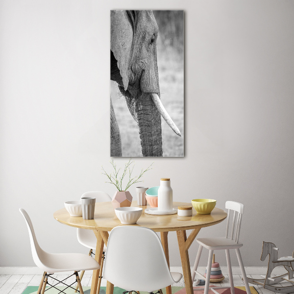 Bild aus glas vertikales Elefant