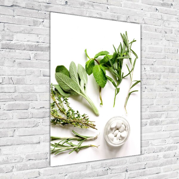 Foto auf glas vertikales Kräuter