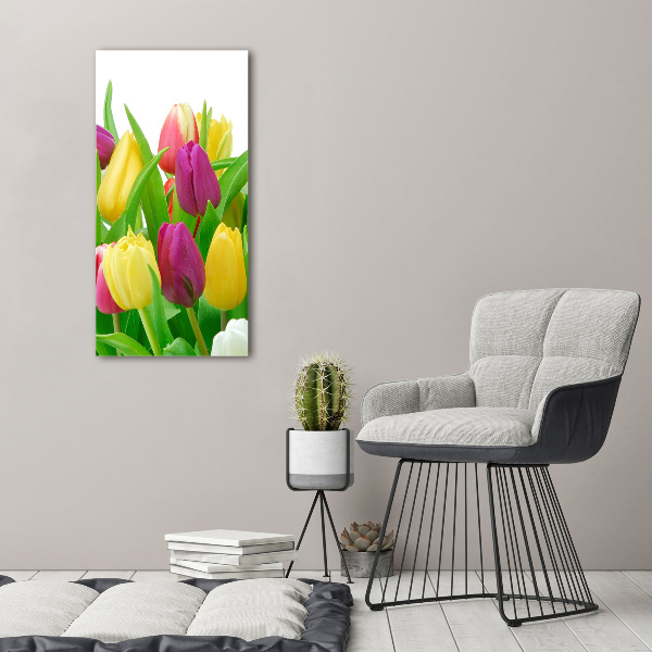 Bild aus glas vertikales Bunte Tulpen