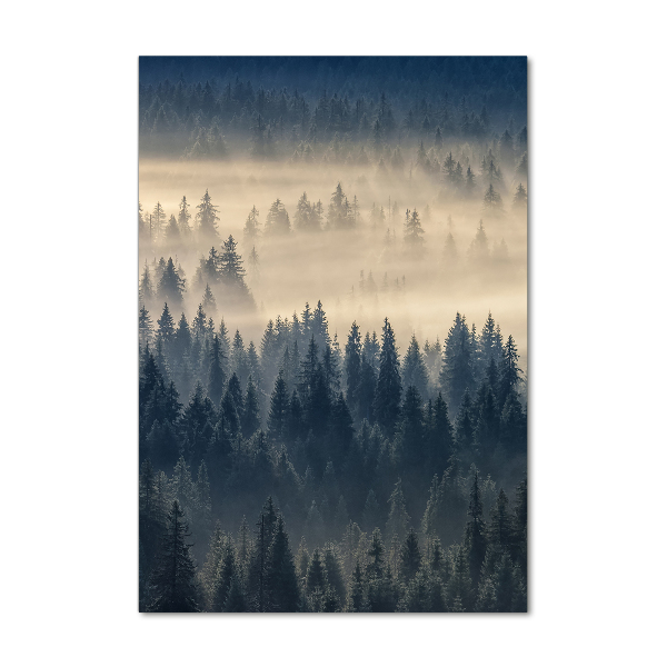Foto auf glas vertikales Nebel über dem Wald