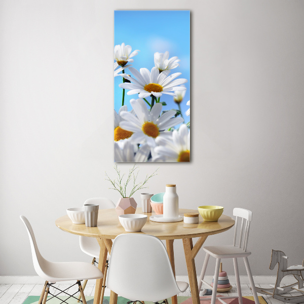 Bild aus glas vertikales Gänseblümchen