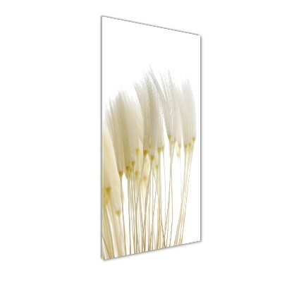 Bild aus glas vertikales Löwenzahnsamen