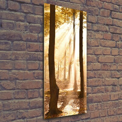 Foto auf glas vertikales Wald im Herbst