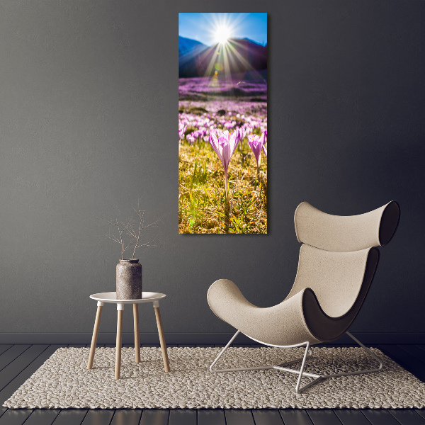 Glasbild vertikales Krokusse in den Bergen