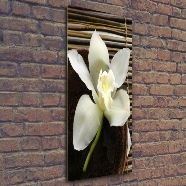 Glasbild vertikales Orchidee