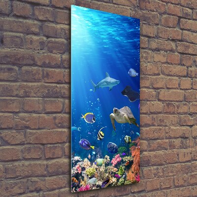 Glasbild vertikales Korallenriff