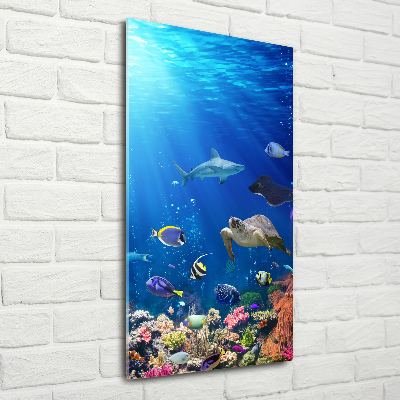 Glasbild vertikales Korallenriff
