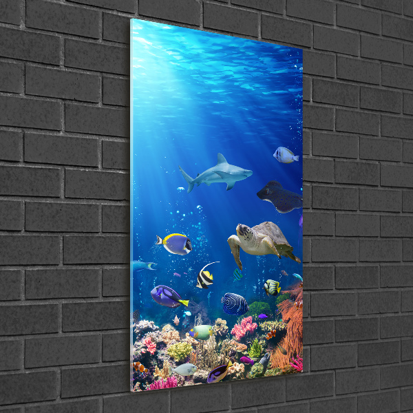 Glasbild vertikales Korallenriff
