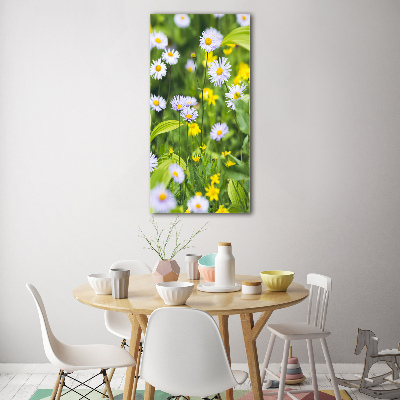 Glasbild vertikales Gänseblümchen