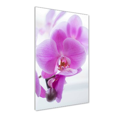 Glasbild vertikales Rosa Orchidee
