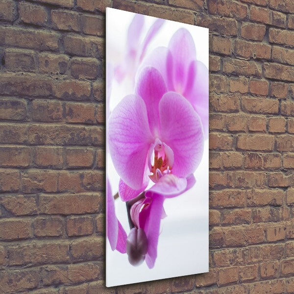 Glasbild vertikales Rosa Orchidee