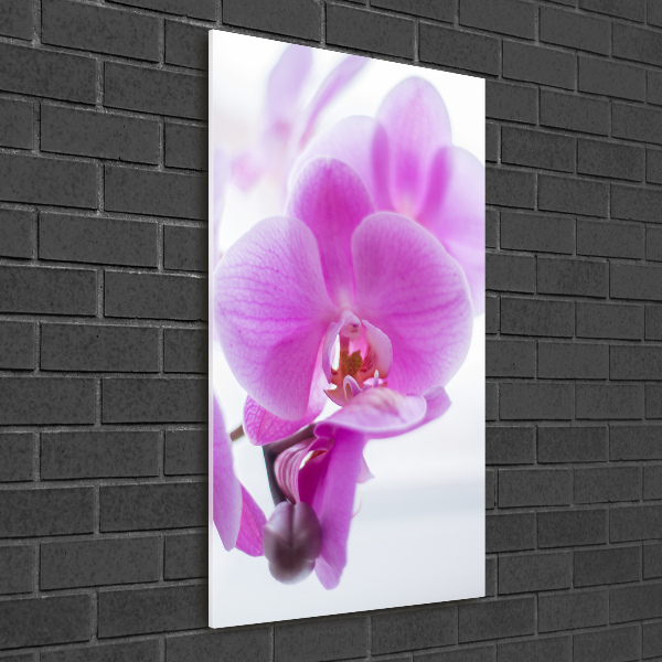 Glasbild vertikales Rosa Orchidee