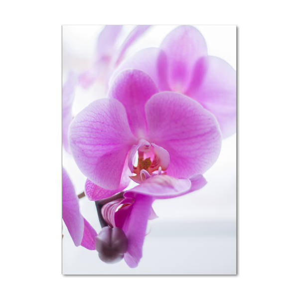Glasbild vertikales Rosa Orchidee