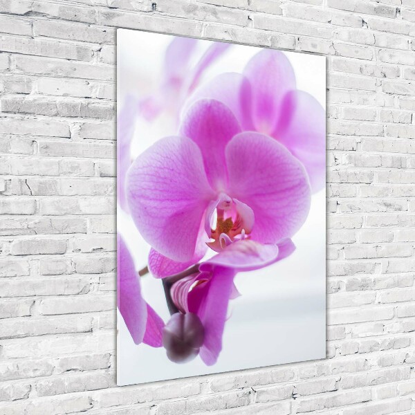 Glasbild vertikales Rosa Orchidee