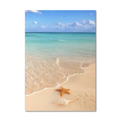 Glasbild vertikales Seesterne am Strand