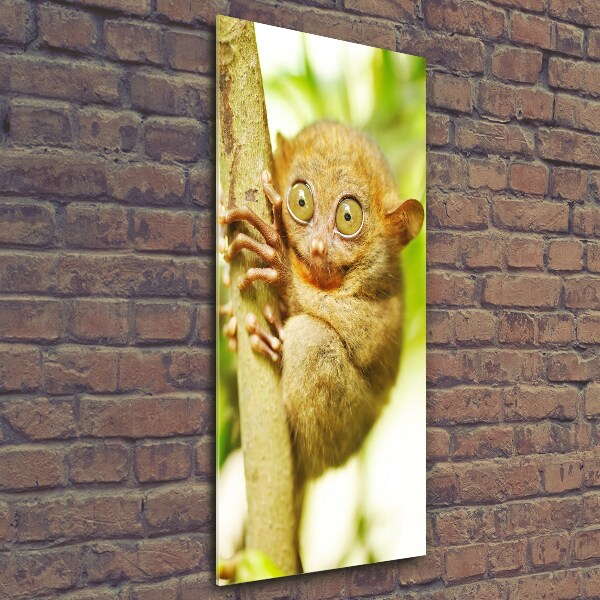 Foto auf glas vertikales Geisterkoboldmaki