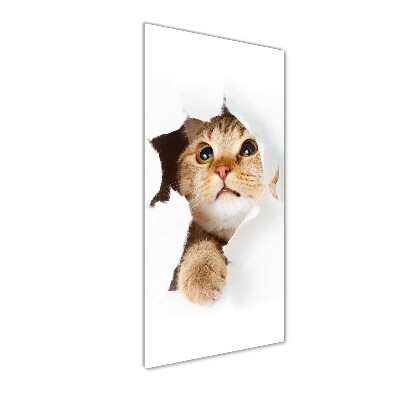 Bild aus glas vertikales Katze
