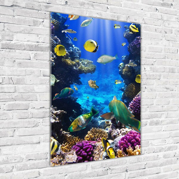 Foto auf glas vertikales Korallenriff