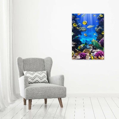 Foto auf glas vertikales Korallenriff